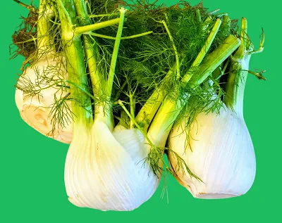 Benefits of fennel