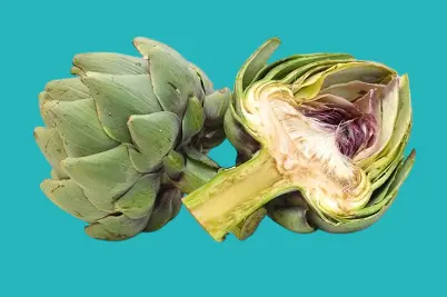 الخرشوف يفيد الكبد