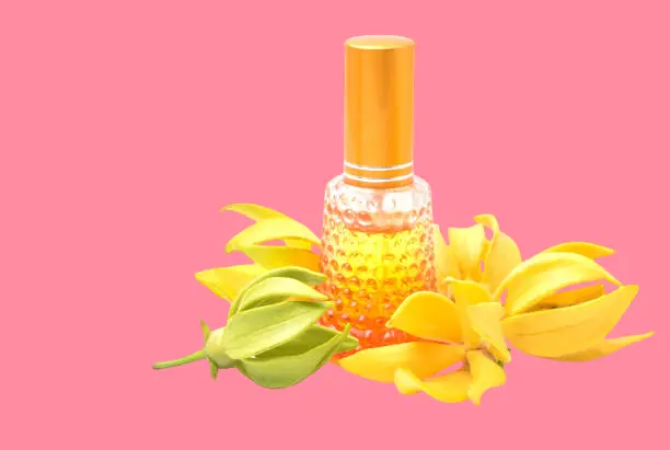 Ylang Ylang Essential Oil for Lightening Sensitive Areas