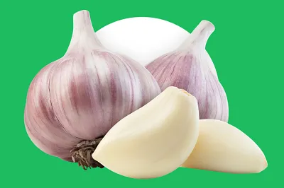 فوائد الثوم 