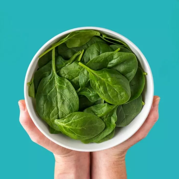 فوائد السبانخ للعظام وزيادة الكالسيوم في الجسم 