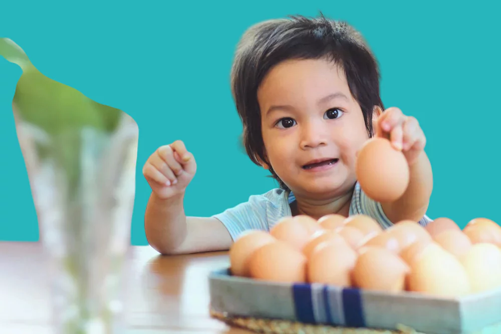 egg allergy