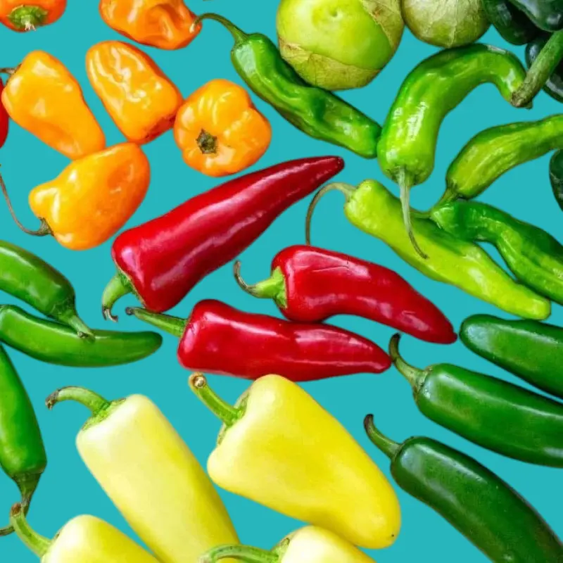 فوائد الفلفل الالوان لصحة العين والجلد 