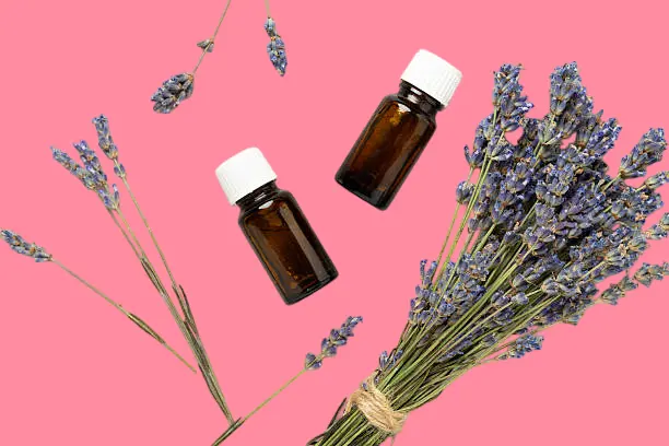 Lavender oil for a beautiful body scent