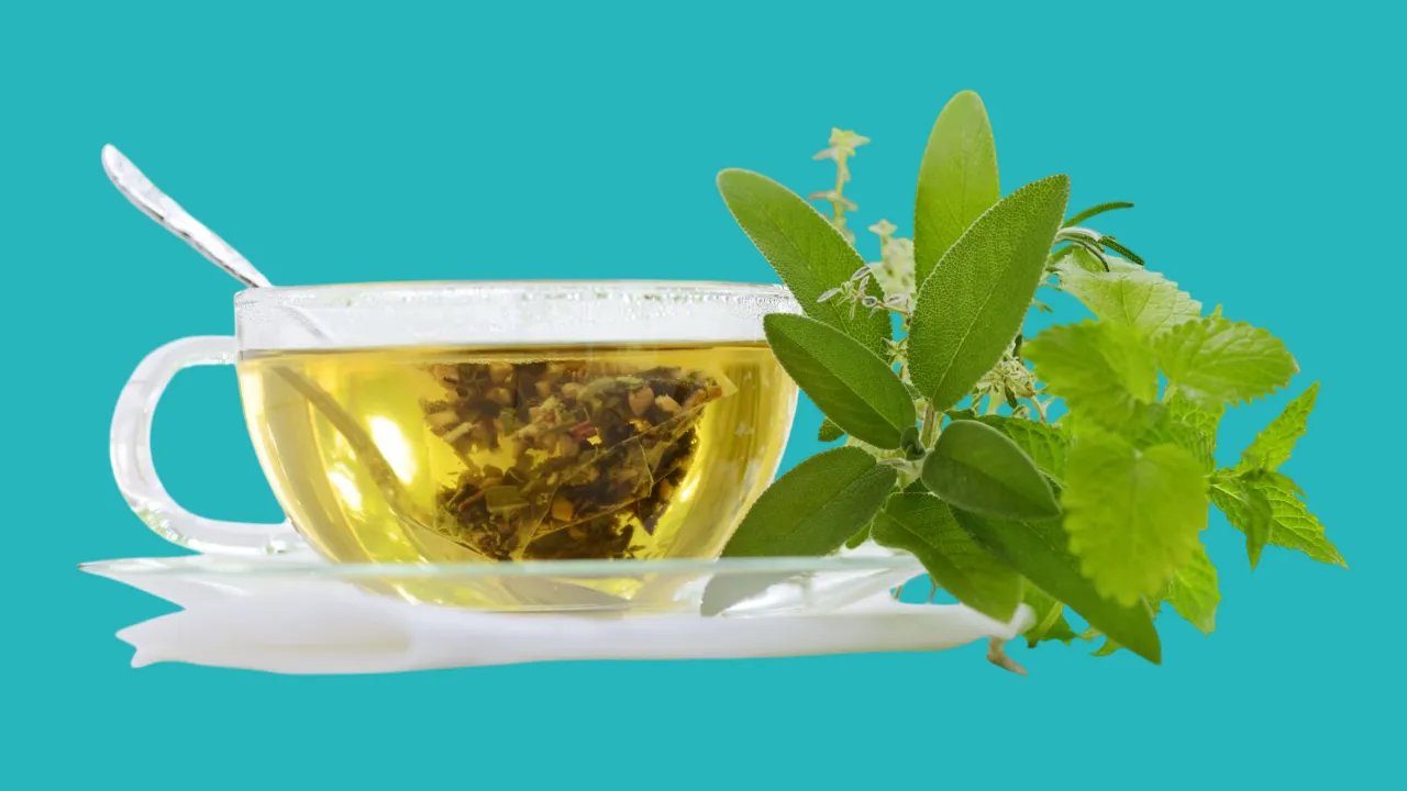 drinks that increase the burning rate and help with weight loss