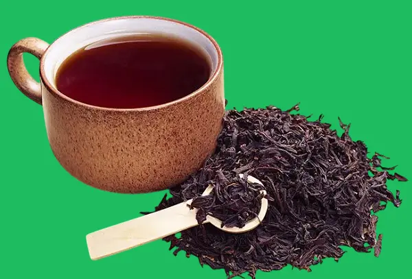 Black tea during intermittent fasting