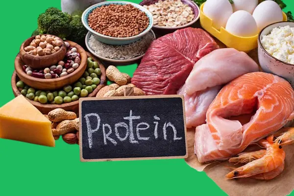 دور البروتين في تقليل الدهون بعد الاربعين