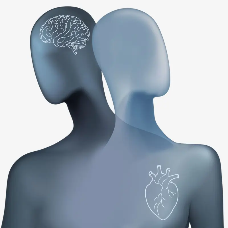 الصحة النفسية و القلب