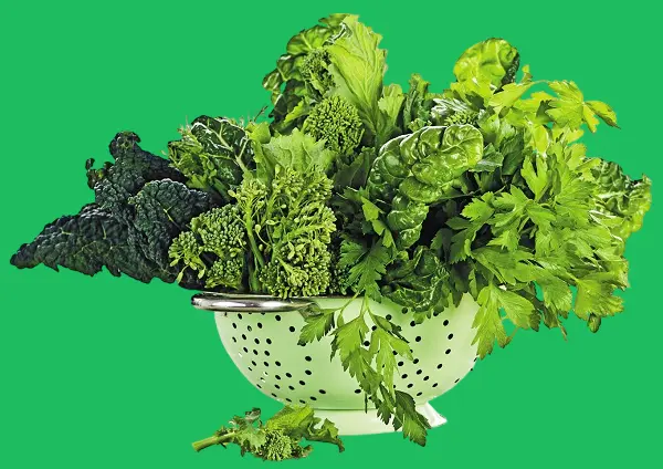 Leafy green vegetables in a diet