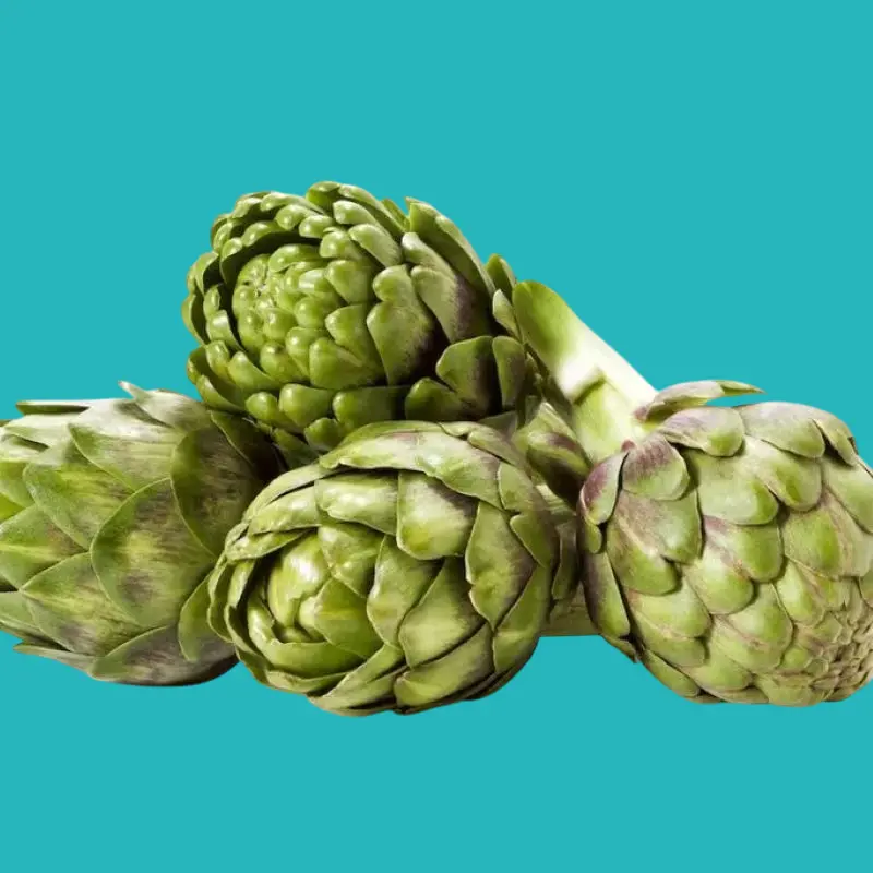 Benefits of artichokes for the liver and cholesterol regulation 