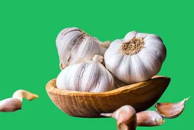 Benefits of garlic 