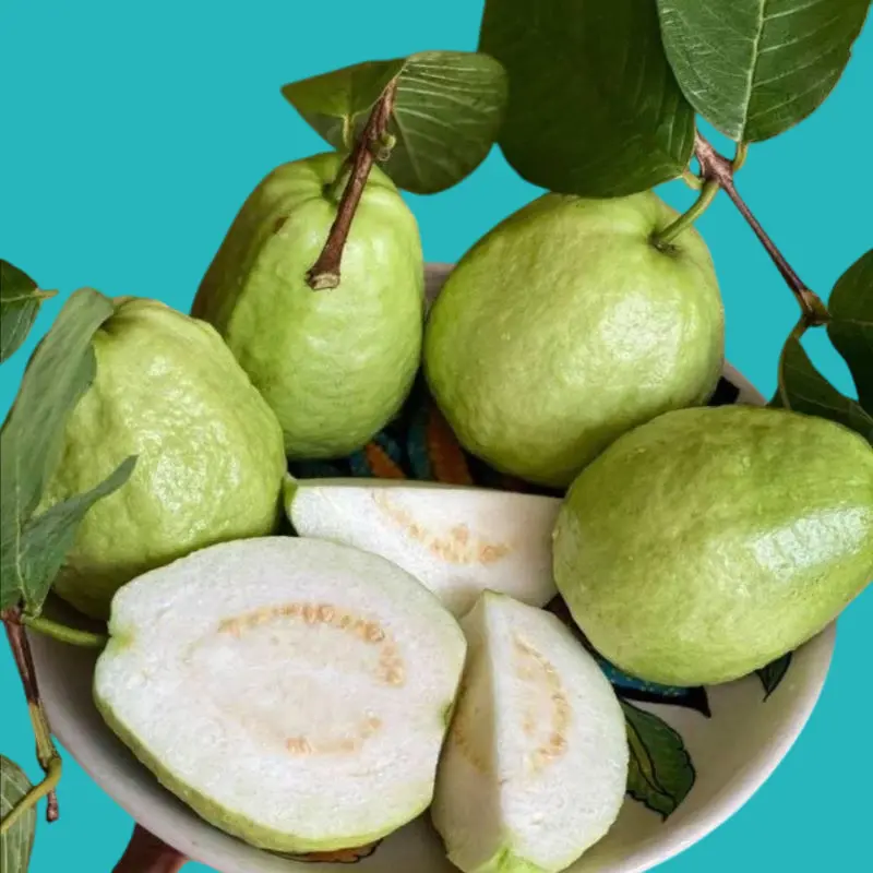 Guava's benefits in resisting colds and flu 