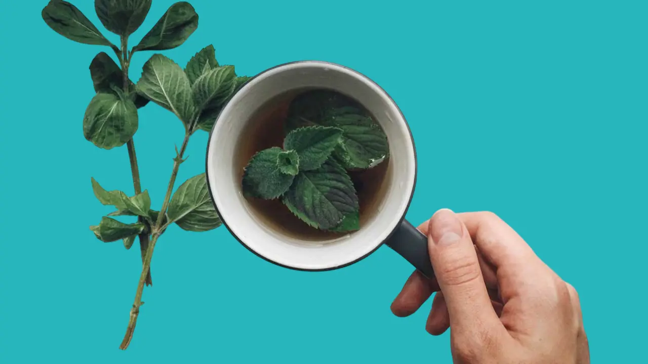 النعناع لتهدئة المعدة