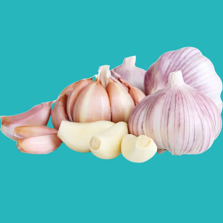 Benefits of Garlic