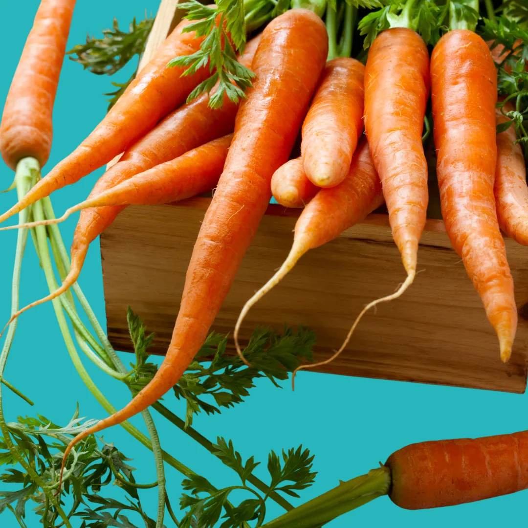 foods that promote healthy skin and hair