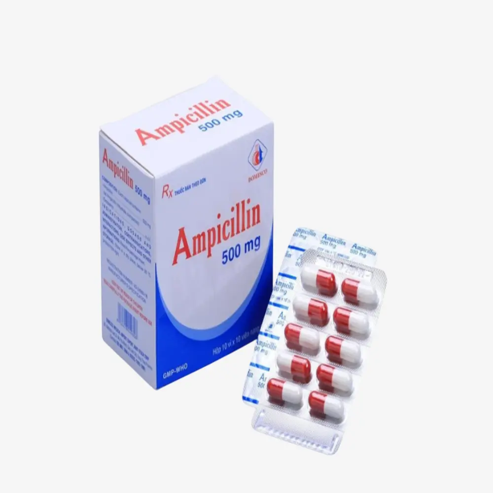 Ampicillin Forte 500 mg 12 Capsules 500mg