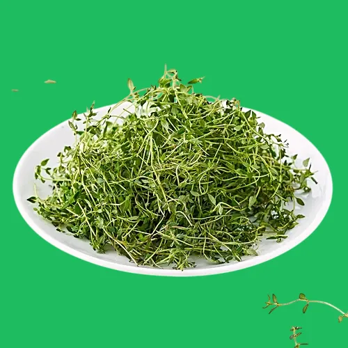 فوائد الزعتر 