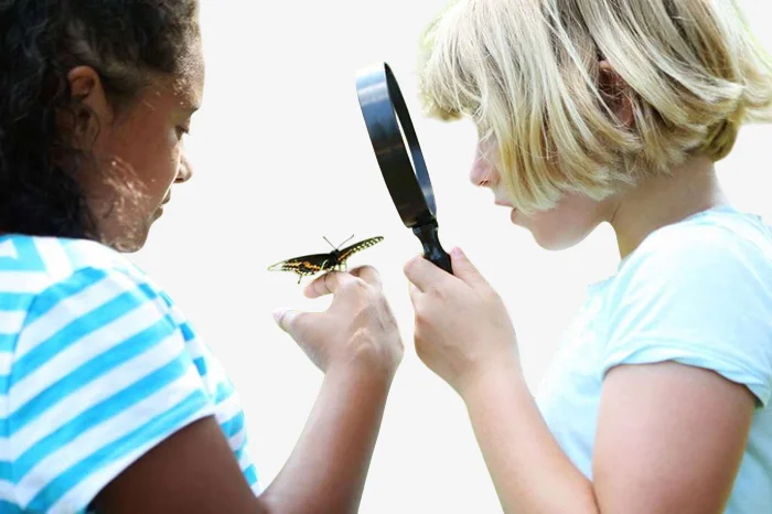 Gradual exposure to insects is one way to cope with insect phobia