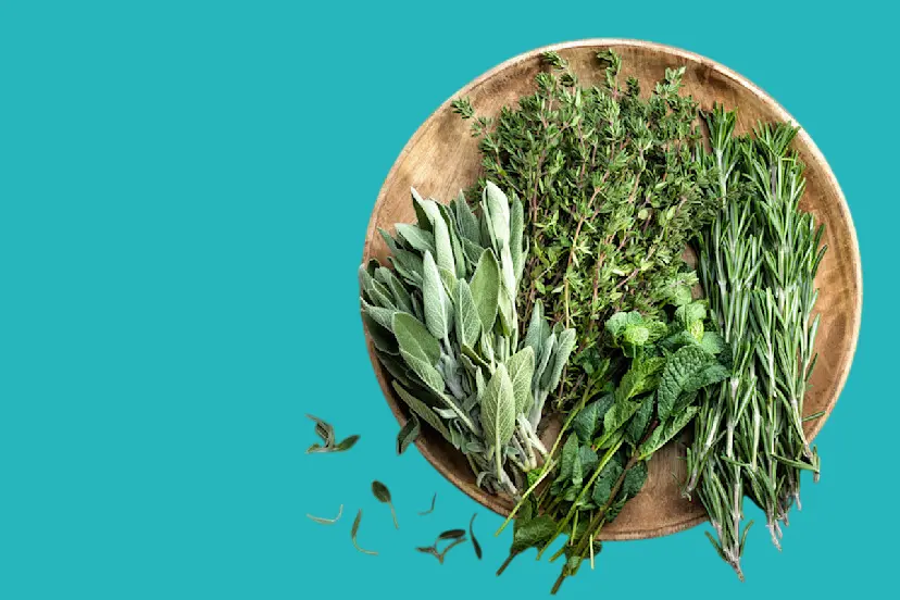 fresh and dried herbs