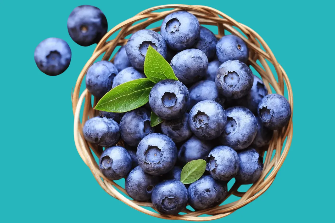 foods to increase concentration and attention