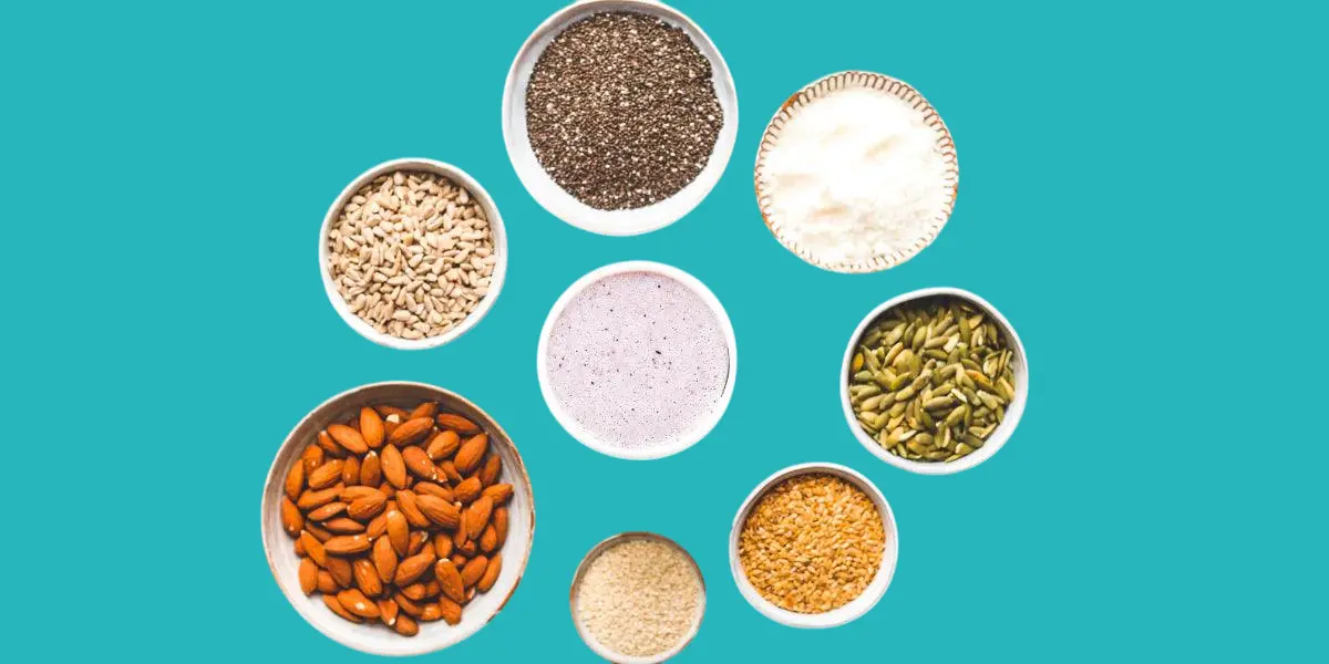 مصادر البروتين النباتي