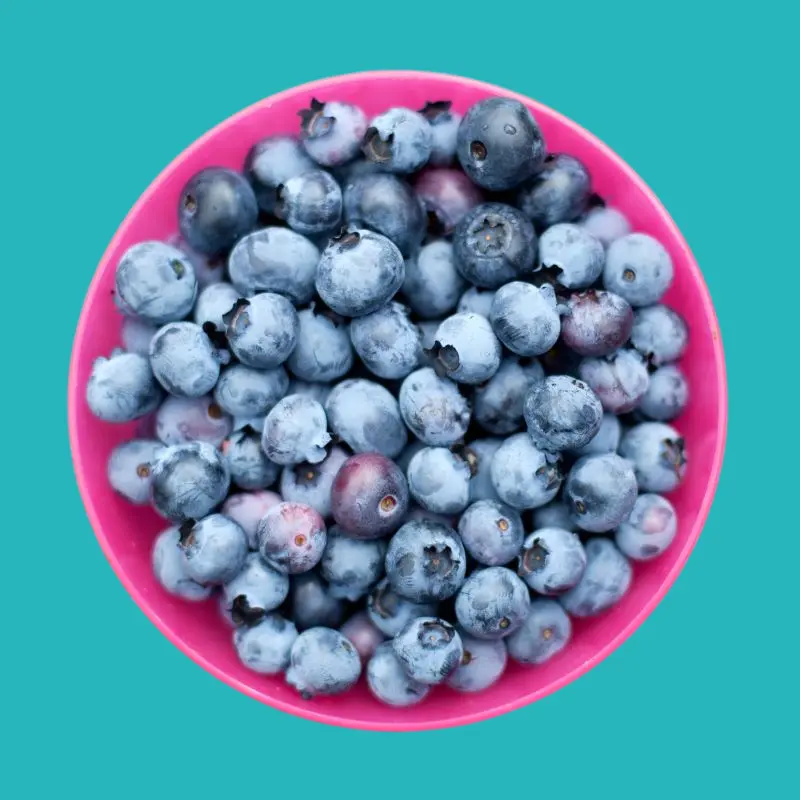 فوائد التوت الازرق في حماية الدماغ من الالتهابات 