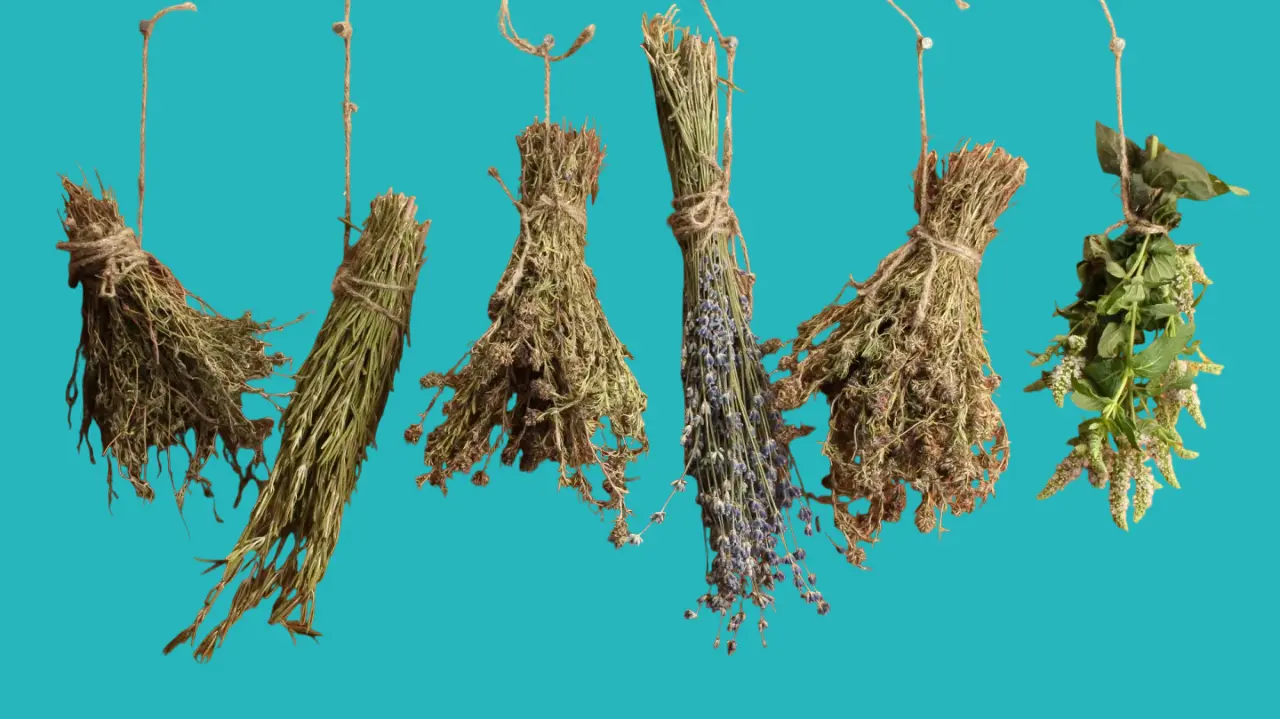 fresh and dried herbs