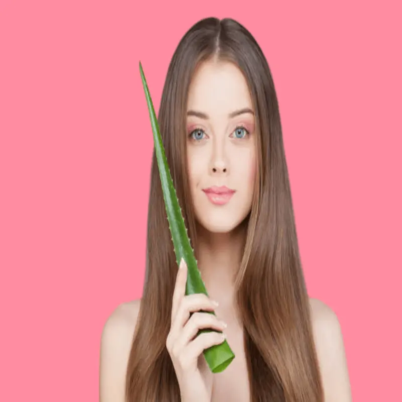 Benefits of aloe vera gel for treating split ends 