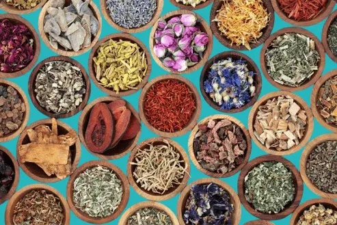 herbs