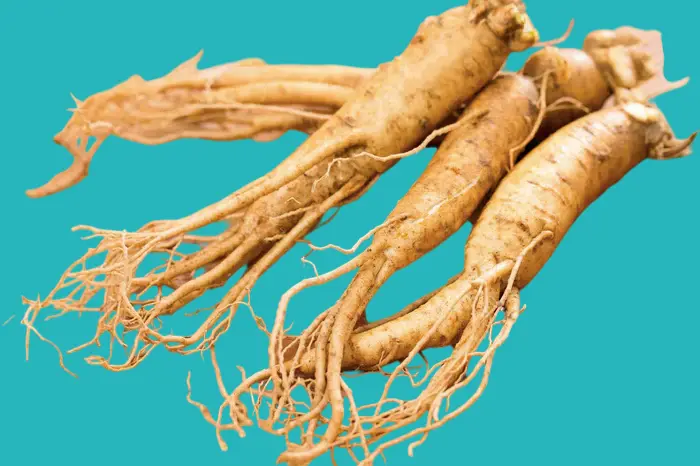 Ginseng