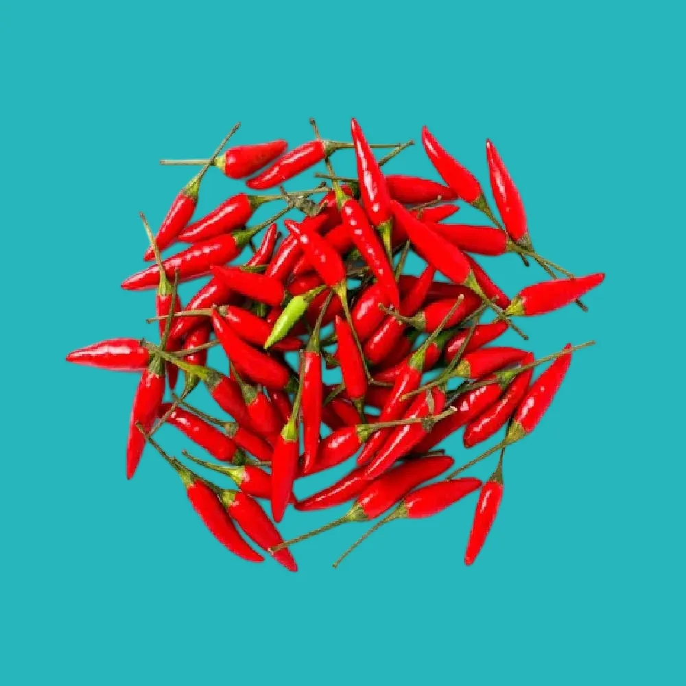  foods that increase the burning rate and are beneficial for weight loss