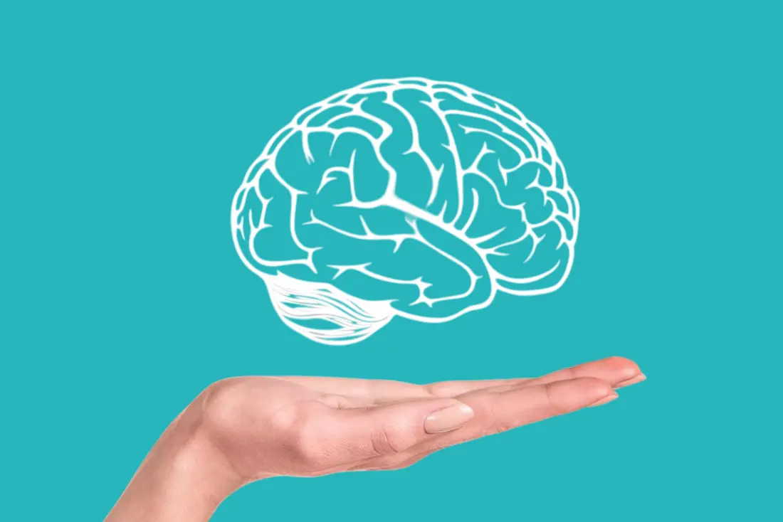 أهمية السردين للذاكرة عند الكبار