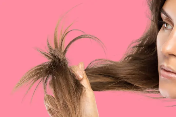 The best shampoo for your hair type