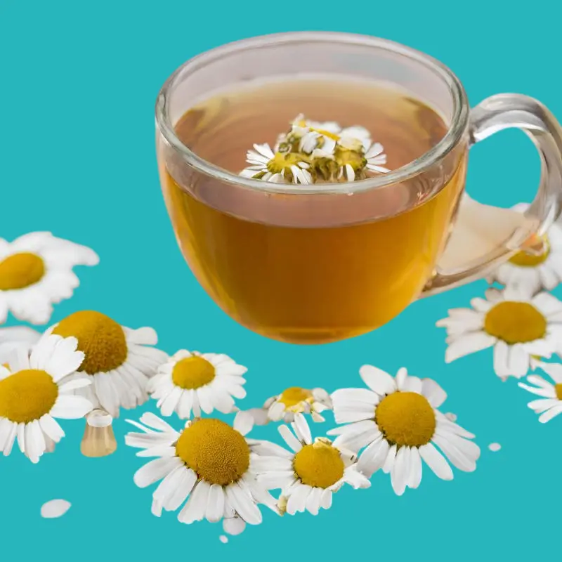 Does chamomile tea contribute to improving memory and attention? 