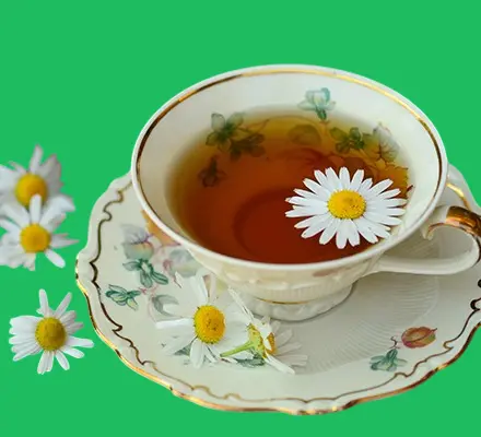 Chamomile tea for burning fat
