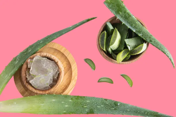 Aloe vera and rose water for lightening elbows