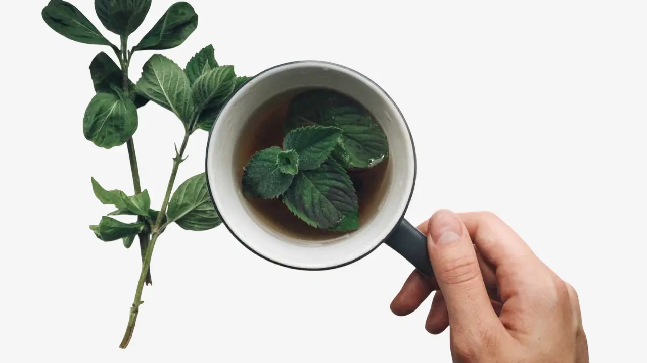 شرب النعناع قبل النوم للاسترخاء