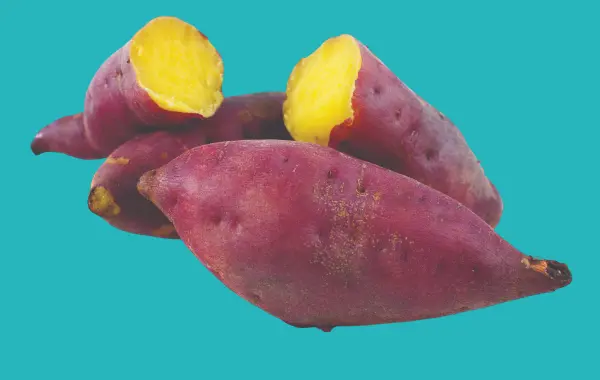 البطاطا سناك مشبع في الانظمة الغذائية