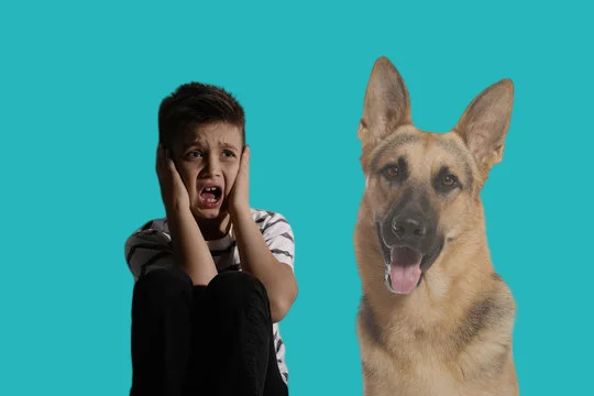 فوبيا الحيوانات من انواع الفوبيا