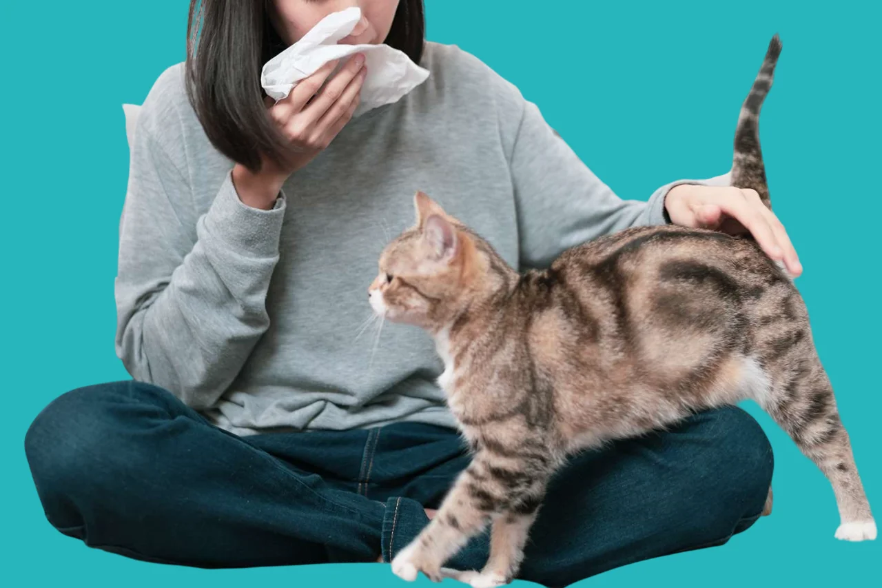 تجنب وبر الحيوانات للوقاية من حساسية الصدر