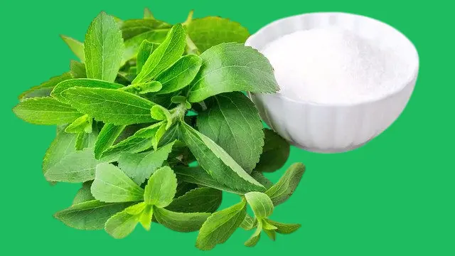 Stevia