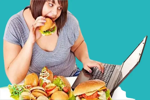 Obesity as One of the Harms of Fast Food