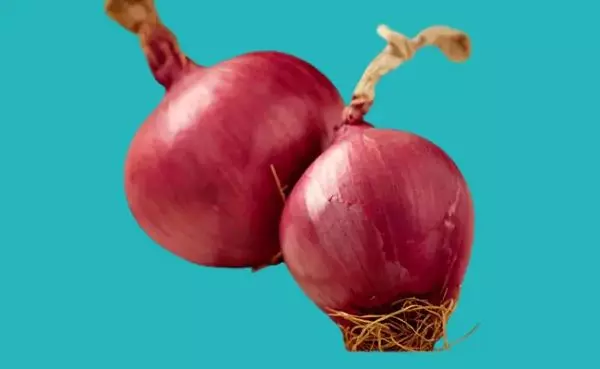 البصل للحد من انتشار الفيروسات