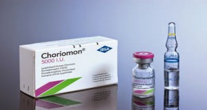 Choriomon 5000i