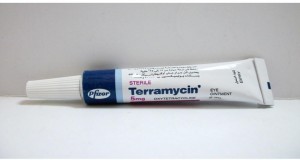 Terramycin  eye oint. 5 gm