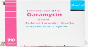 جاراميسين 40 مليجرام امبولات 40mg