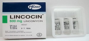 Lincocin 600mg
