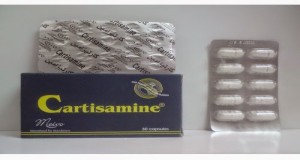 Cartisamine 500mg