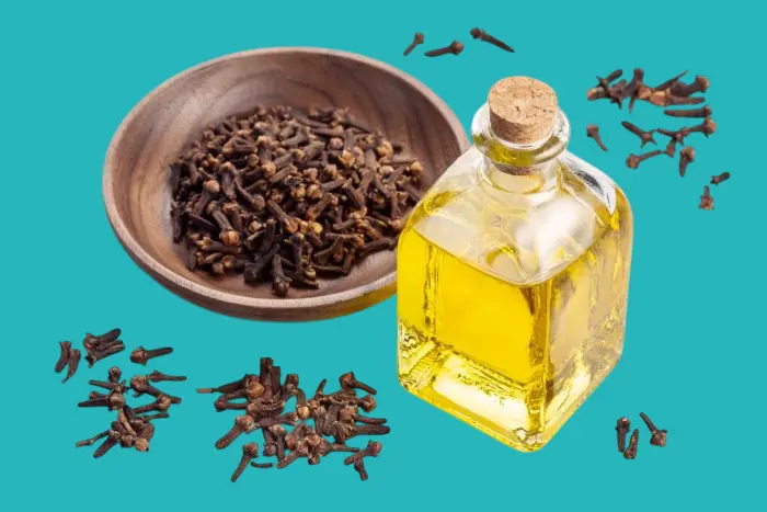 فوائد القرنفل لالتهاب الحلق