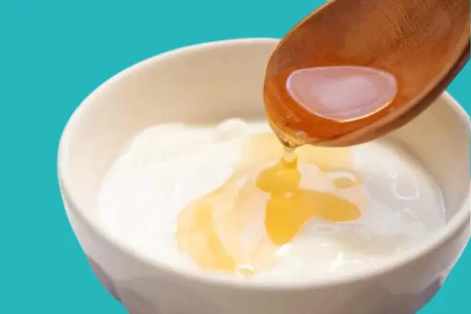 فوائد الزبادي مع العسل